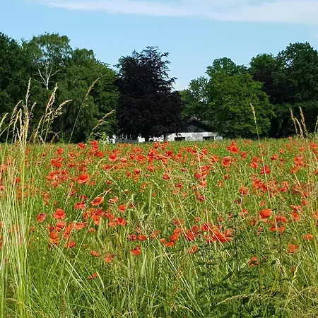 Appartamento Marina Lust Auf Zuhause Ferien In Der Provinz Herford