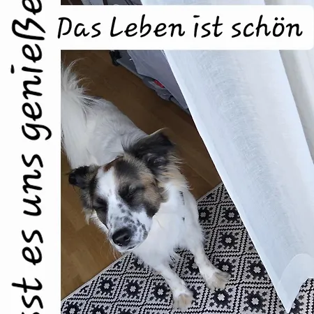 Marina Lust Auf Zuhause Ferien In Der Provinz *