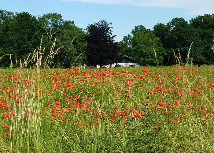 Apartamento Marina Lust Auf Zuhause Ferien In Der Provinz Herford