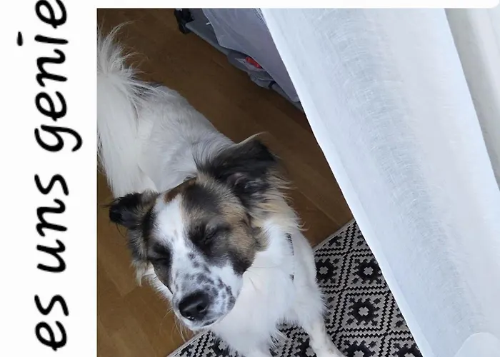 Marina Lust Auf Zuhause Ferien In Der Provinz *